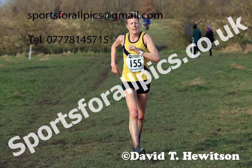 Womens 35 and Over and Mens 65 and Over, 2024 NEMAA Cross Country Champs., Wallsend. Photo: David T. Hewitson/Sports for All Pics
